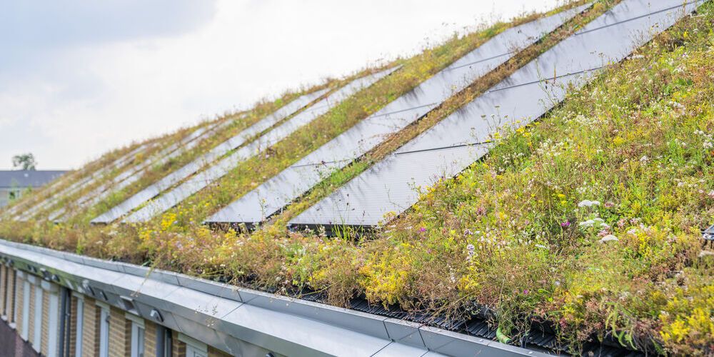 Solargründächer: Studie belegt Wirtschaftlichkeit der Kombination