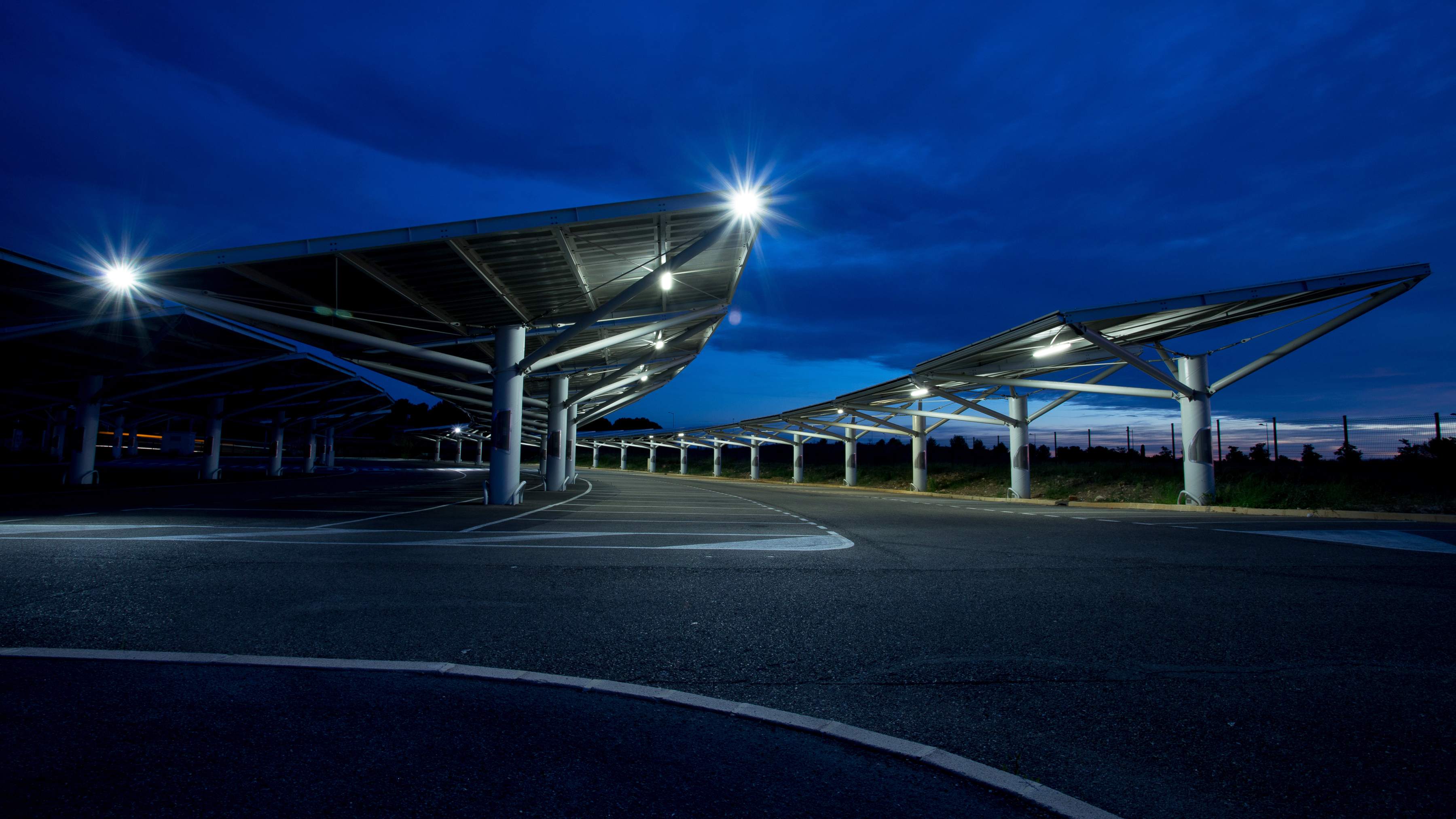 Analyse zeigt: Fledermäuse fühlen sich wohl in Solarparks – bei richtiger Planung
